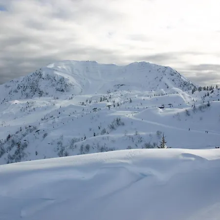 Osteria Da Alvise 3*