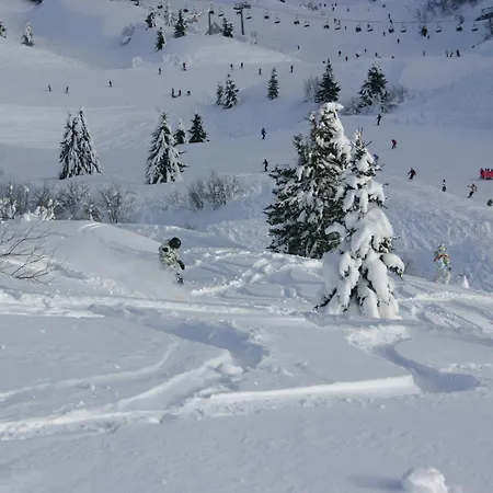 Hotel Osteria Da Alvise Sutrio