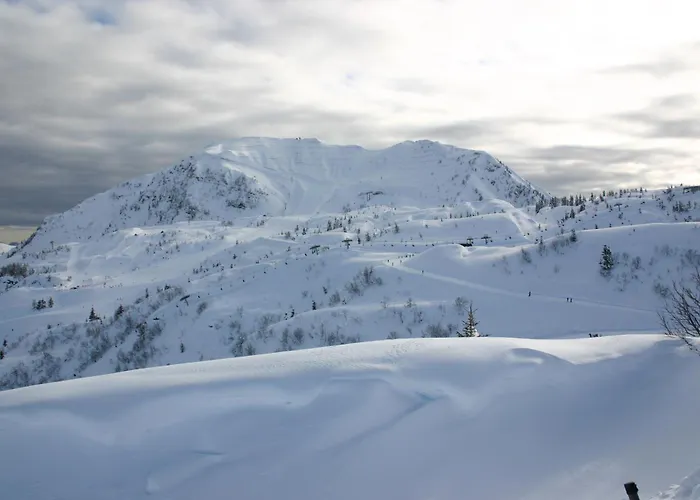 Osteria Da Alvise 3*